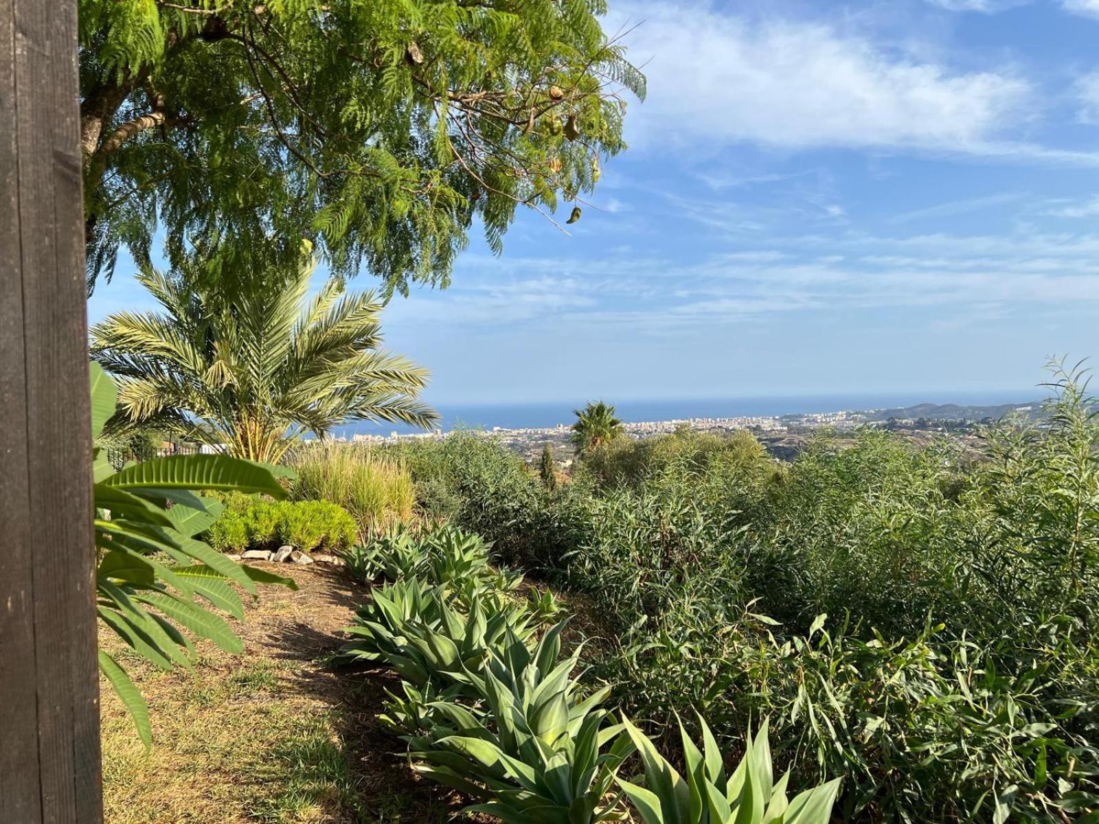 El Cortijo