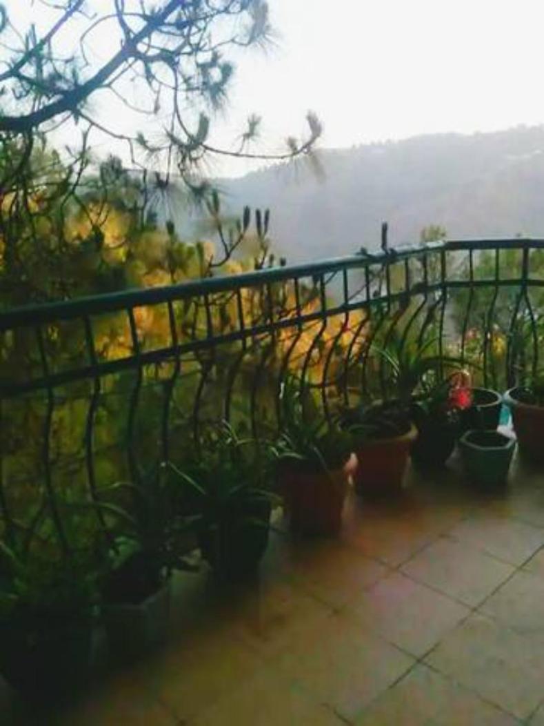 Majestic 2BHK Himalyan Chalet style cottage in a Posh Resort view 2