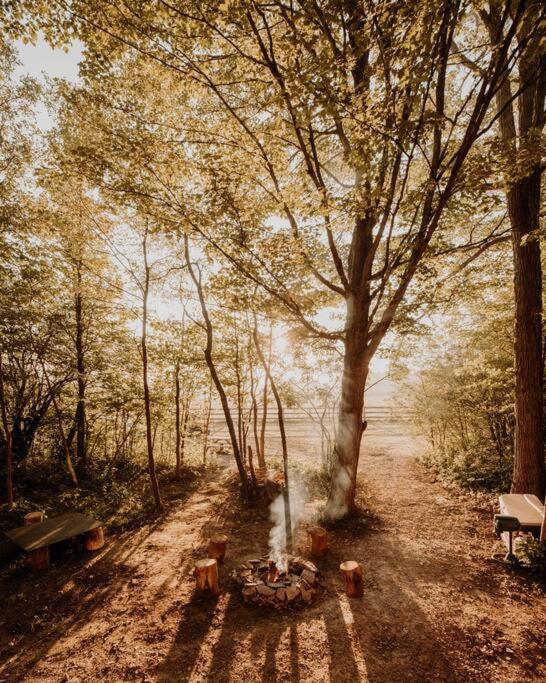 The Green Acres Cabin