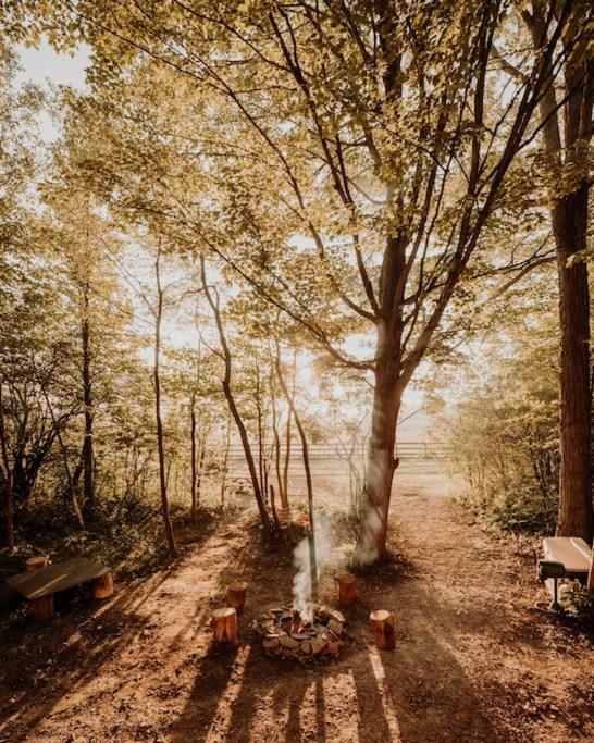 The Green Acres Cabin