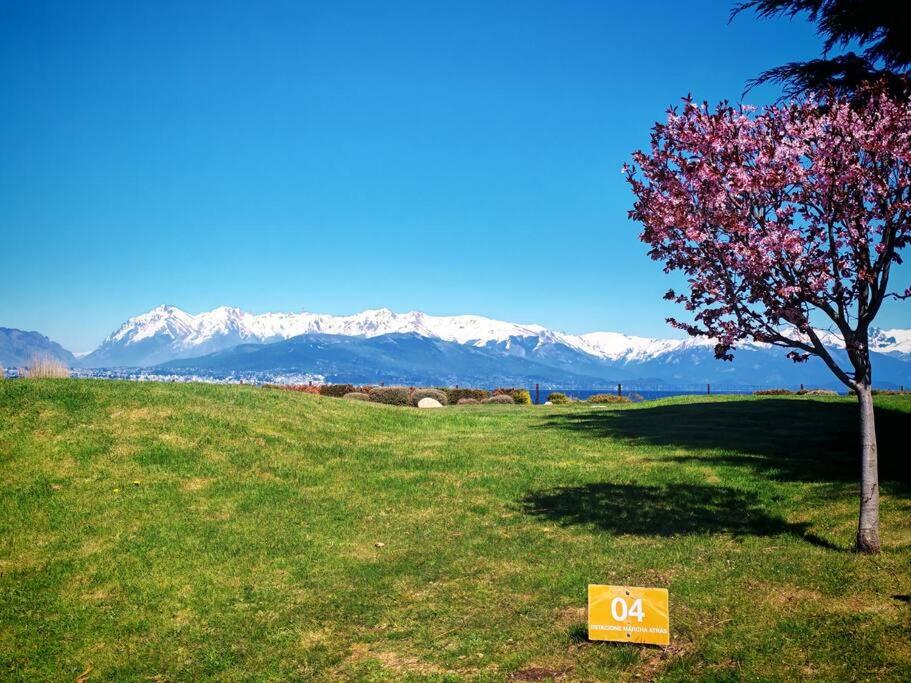 A9-Tu Escape Ideal