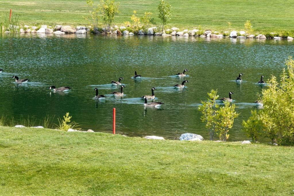 Golf & Ski Haven Pt C208 Ski Retreat Mtn Views view 2