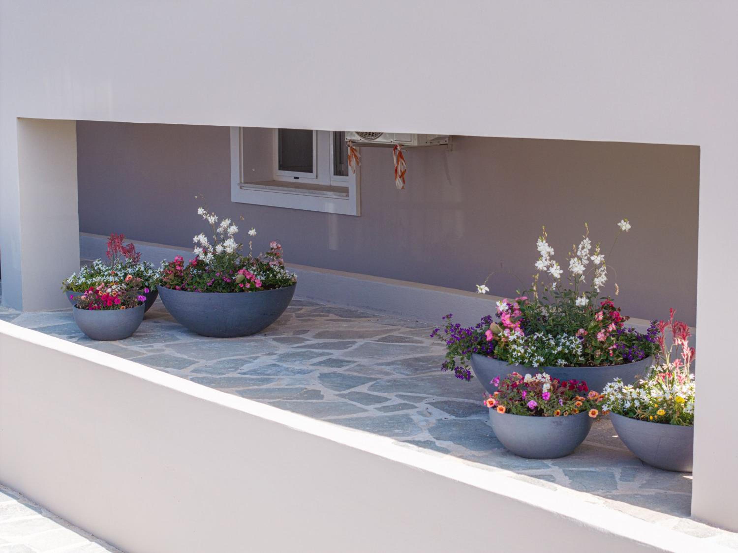 Luxury Villa Irene Metaxata