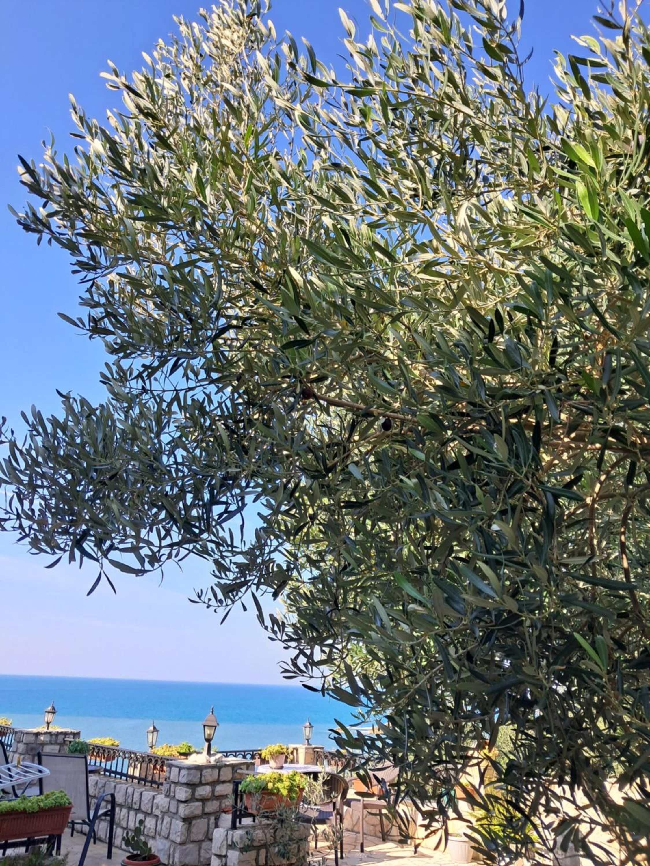 Apartments Antigona 2 Old Town Ulcinj view 4