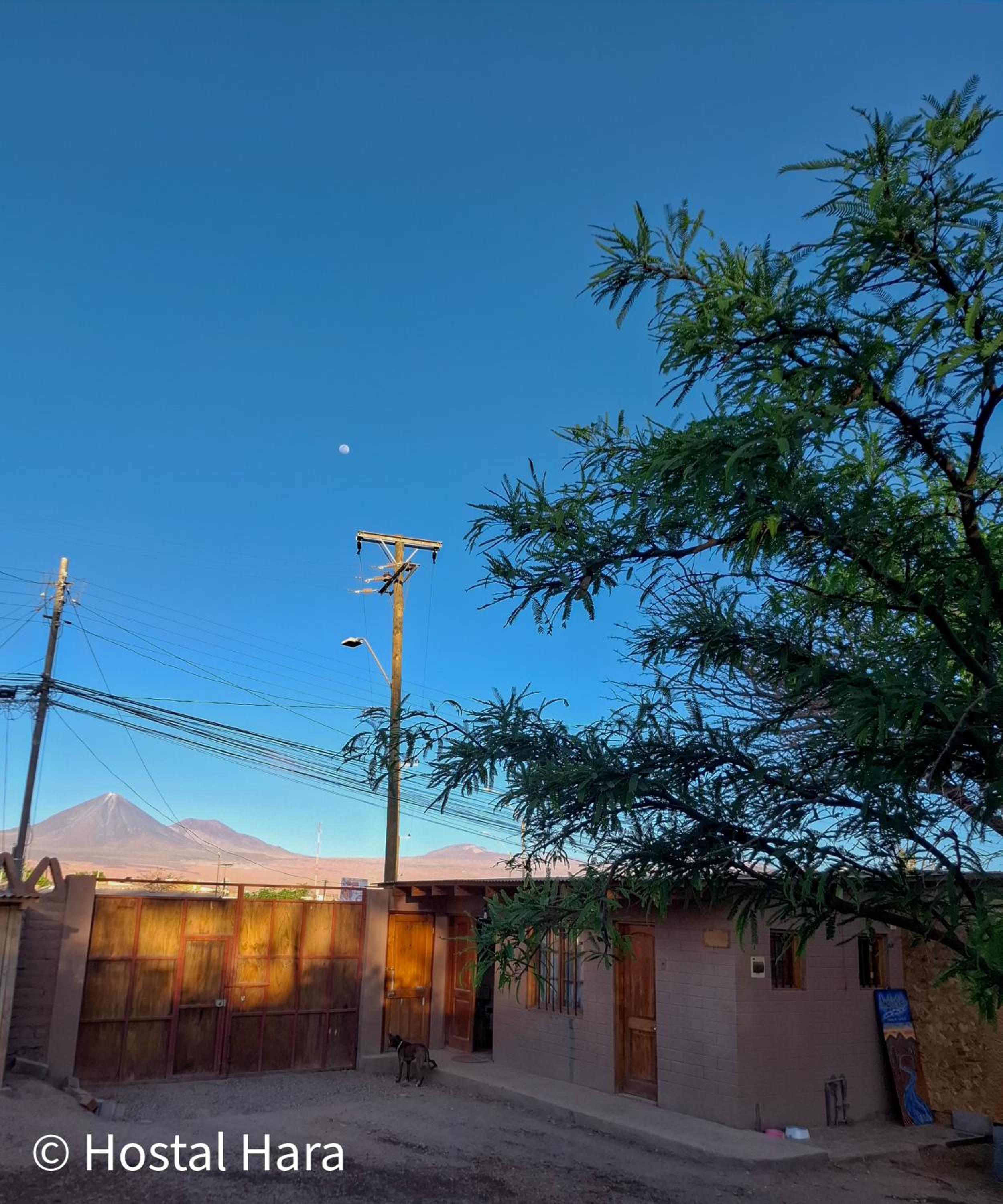 Hostal Hara