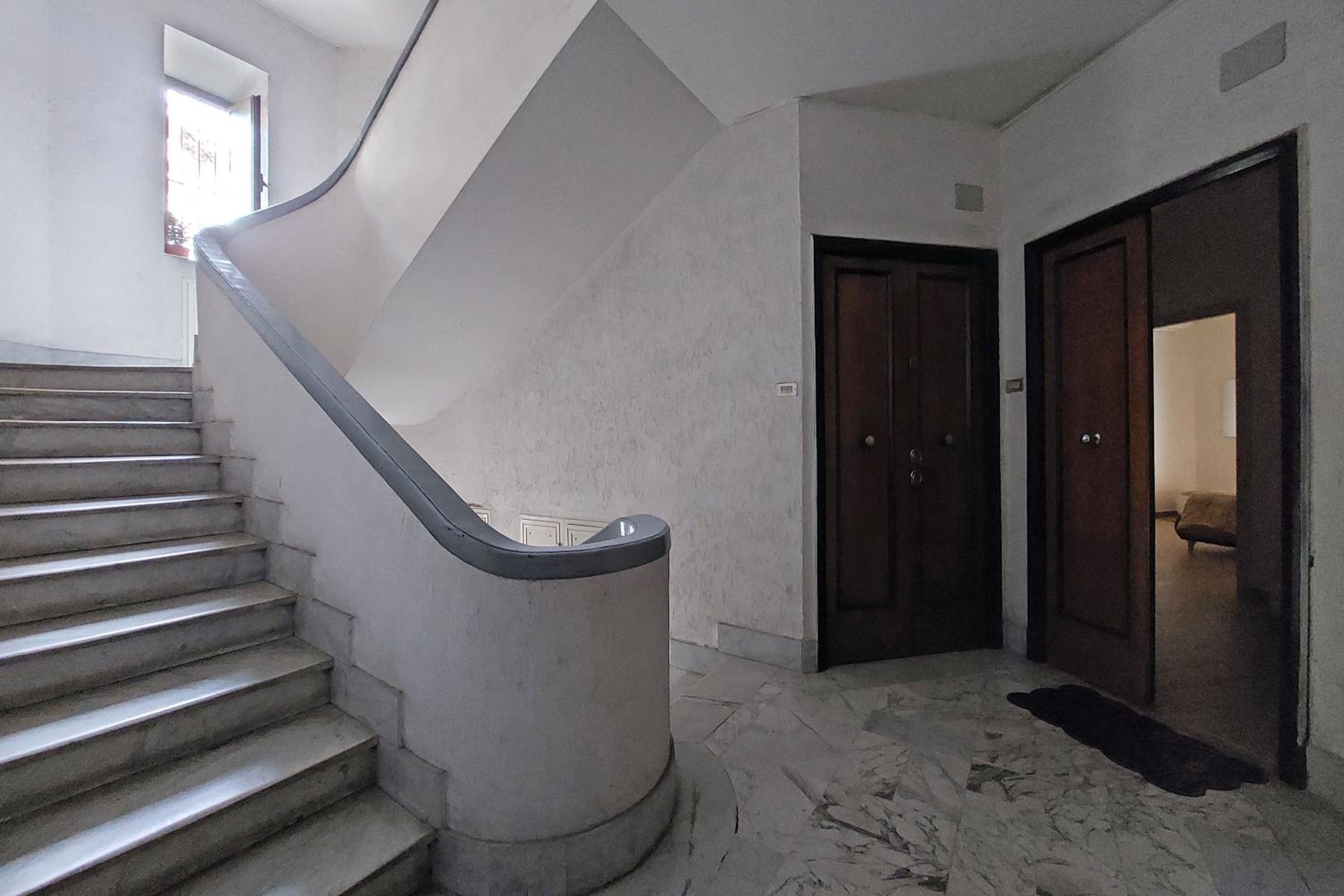 White Wood House