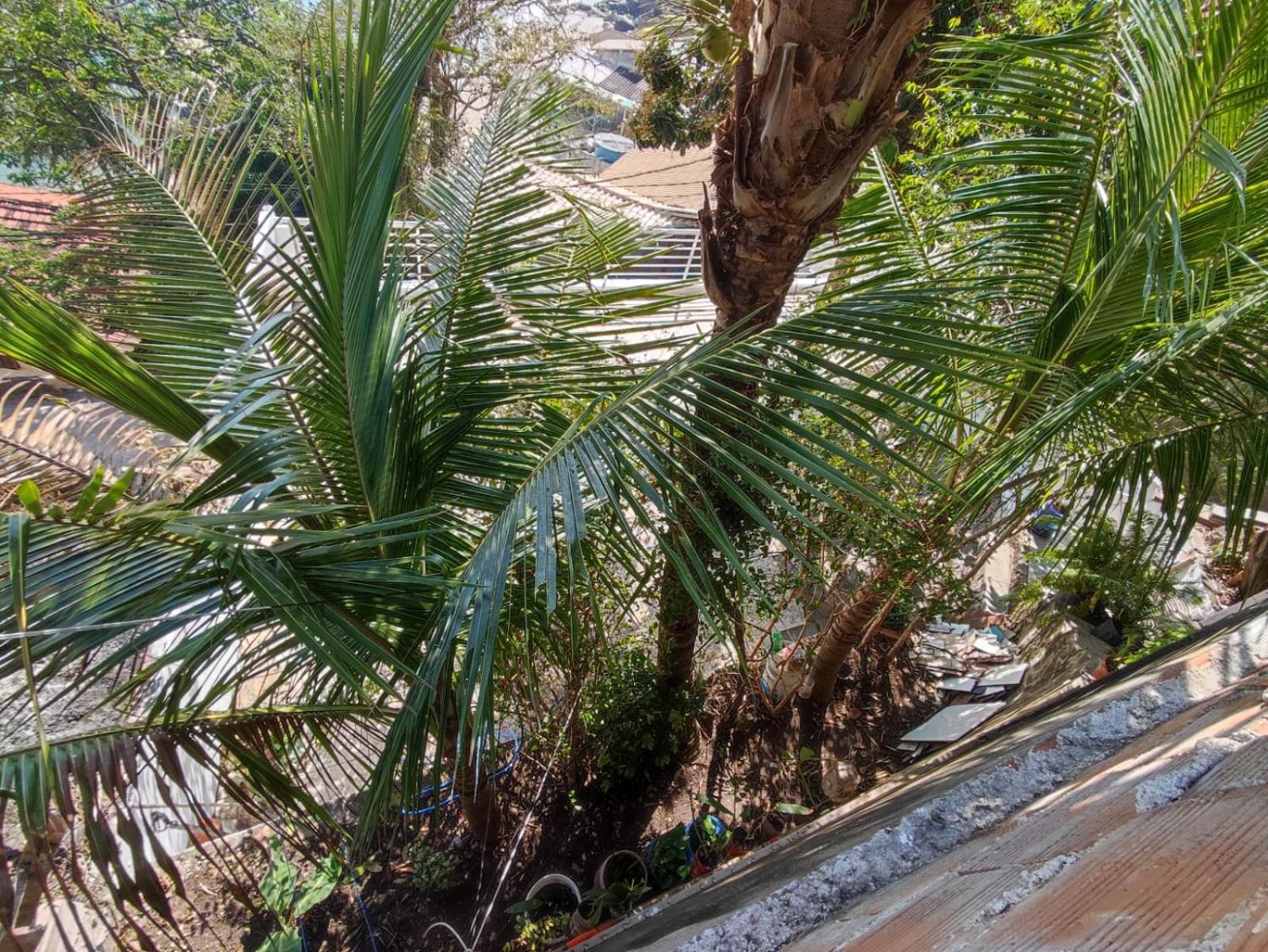 Vista Maravilhosa