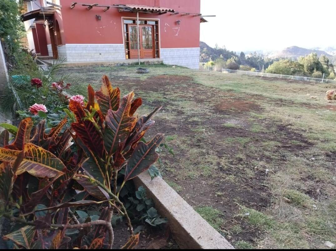 Hospedaje El Tayo - Casa de campo Cajamarca view 2