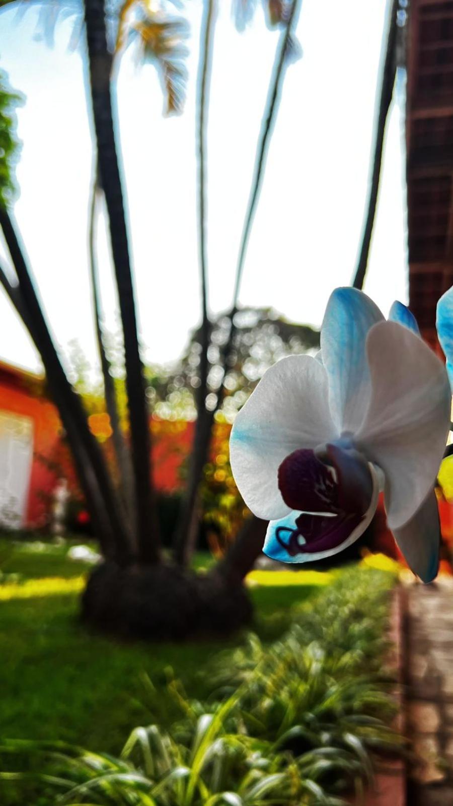 Pousada Casa Doce Vida
