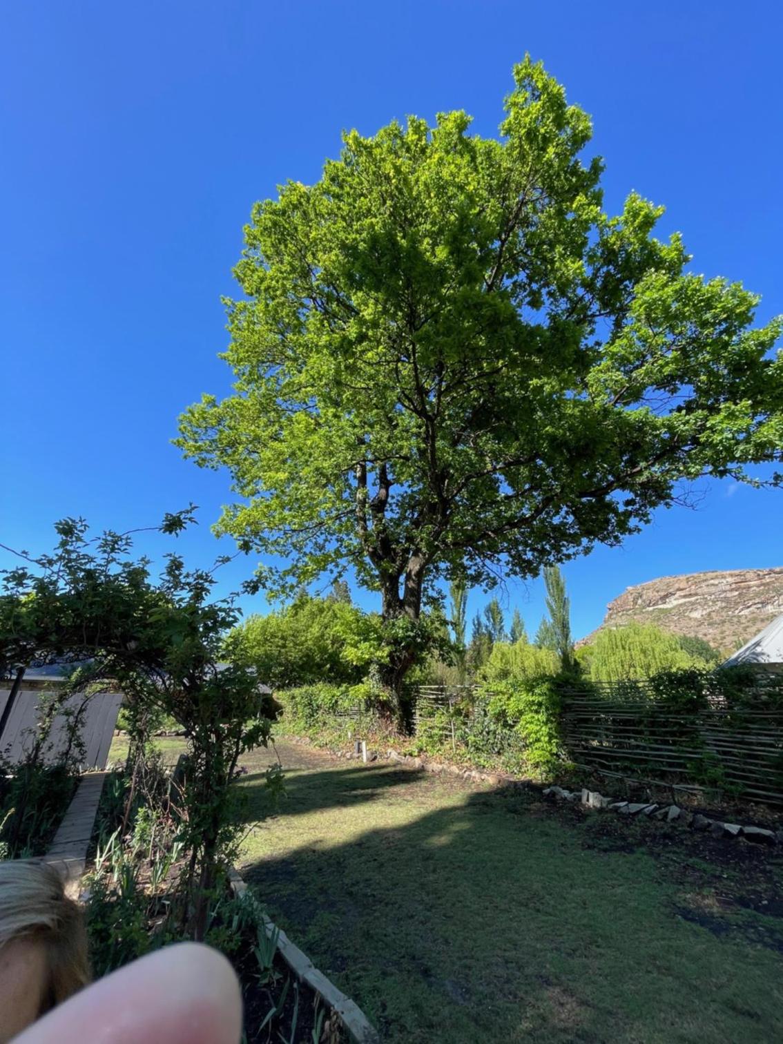 Periwinkle, Grove ,Acorn & Sage Cottages