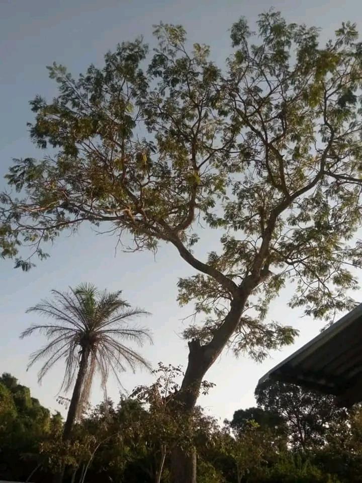 Gunjur Nyamina Garden Eco lodge view 2