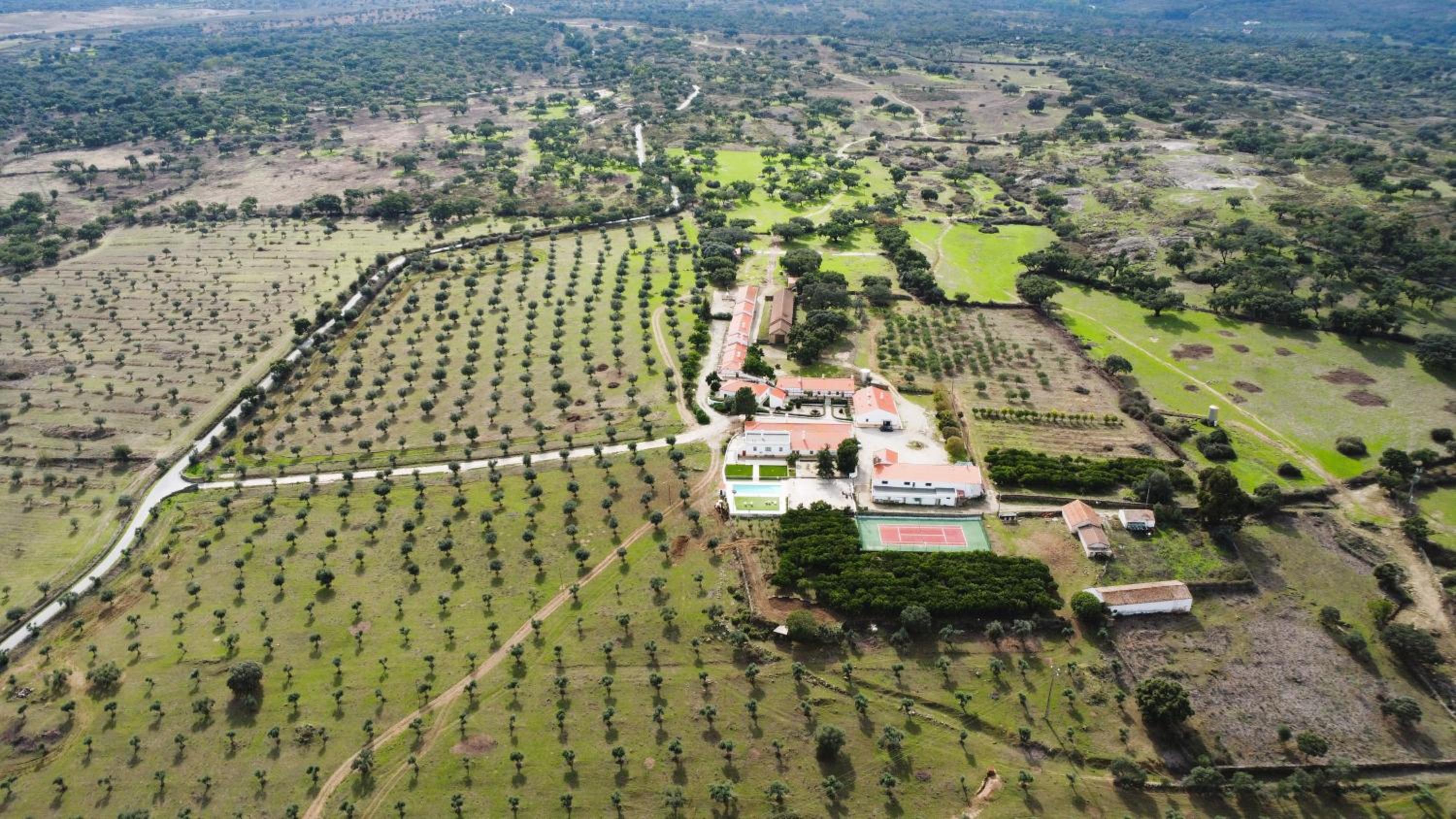 Herdade de Santo Isidro - Casa da Meada view 4