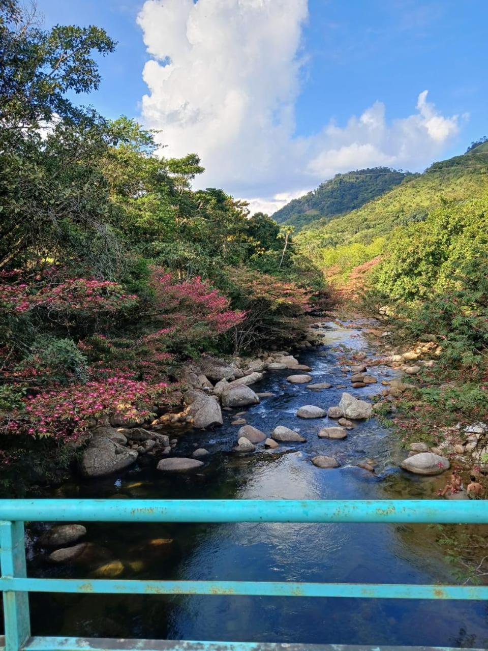 OSIMiRI JAMAICA II-Piscina, naturaleza mágica