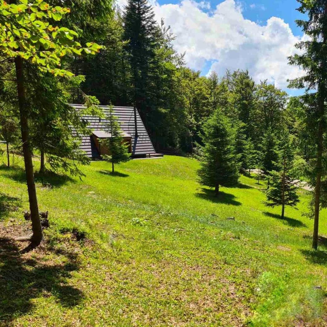 Vrleti Tare view 2