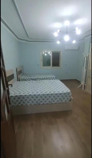 Fully Furnished Modern Apartment