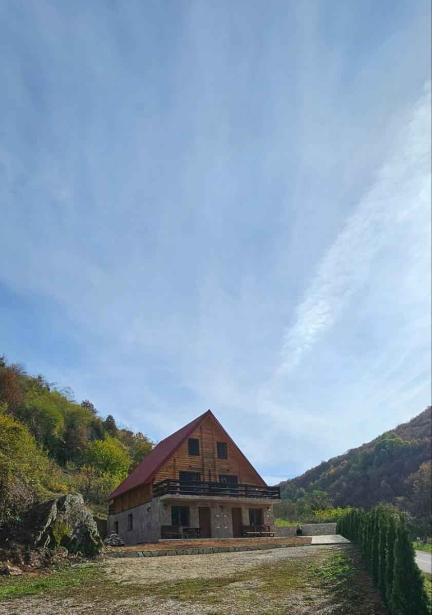 Apartmani Prica