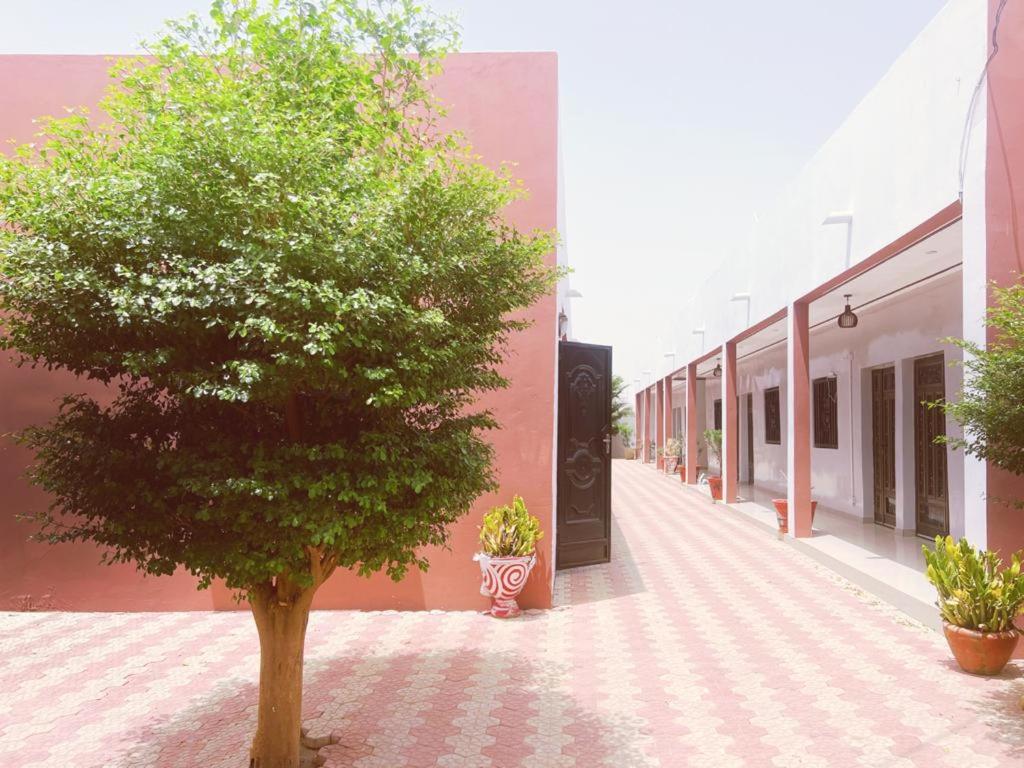Arafat Inn