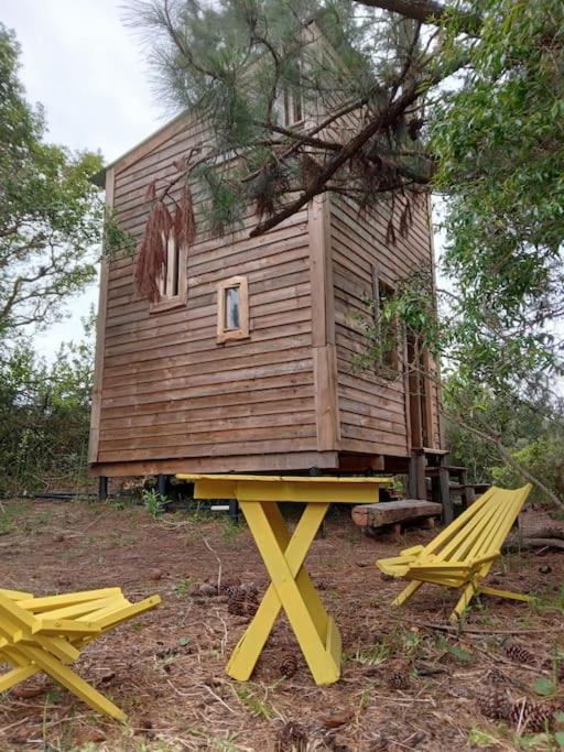 Cabaña en el bosque