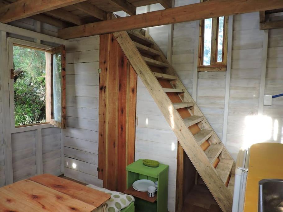 Cabaña en el bosque
