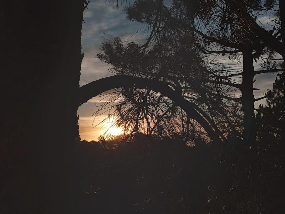 Cabaña en el bosque