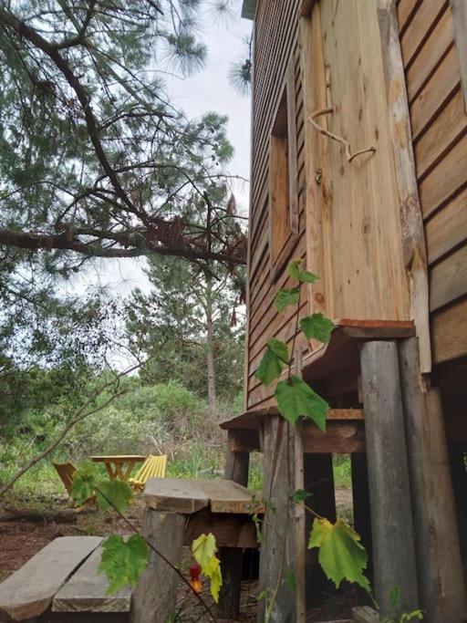 Cabaña en el bosque