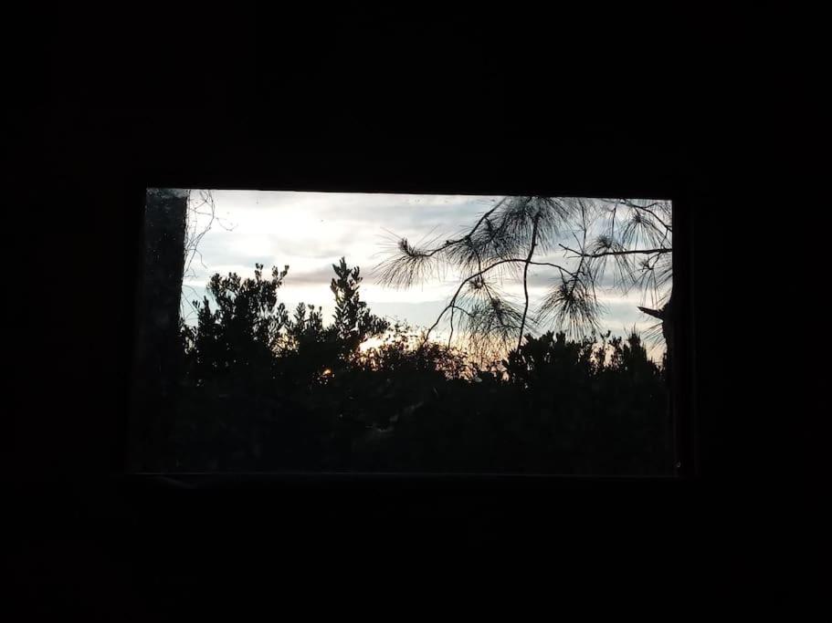 Cabaña en el bosque