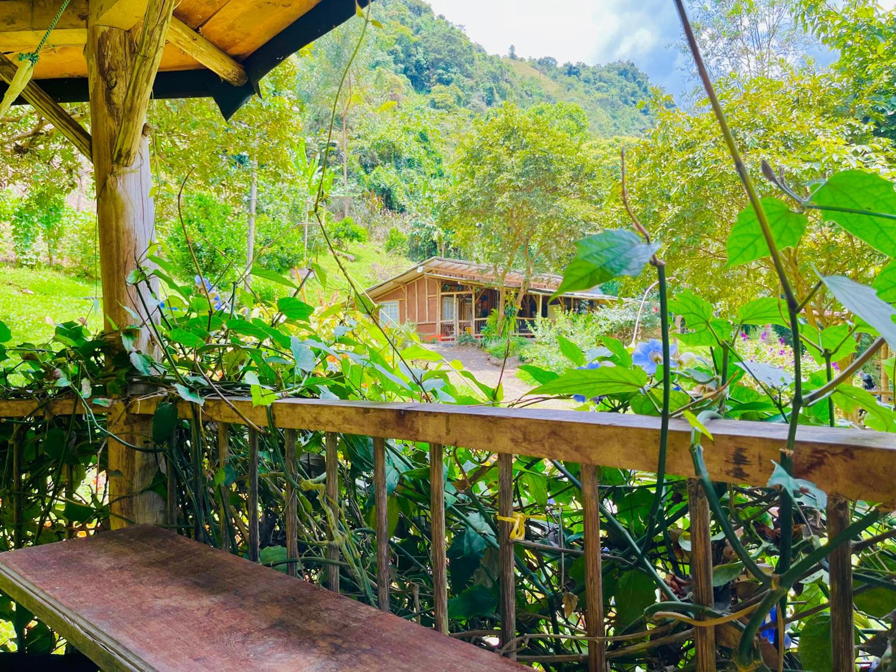 Hospedate entre Cascadas, Senderos y Paisajes Naturales