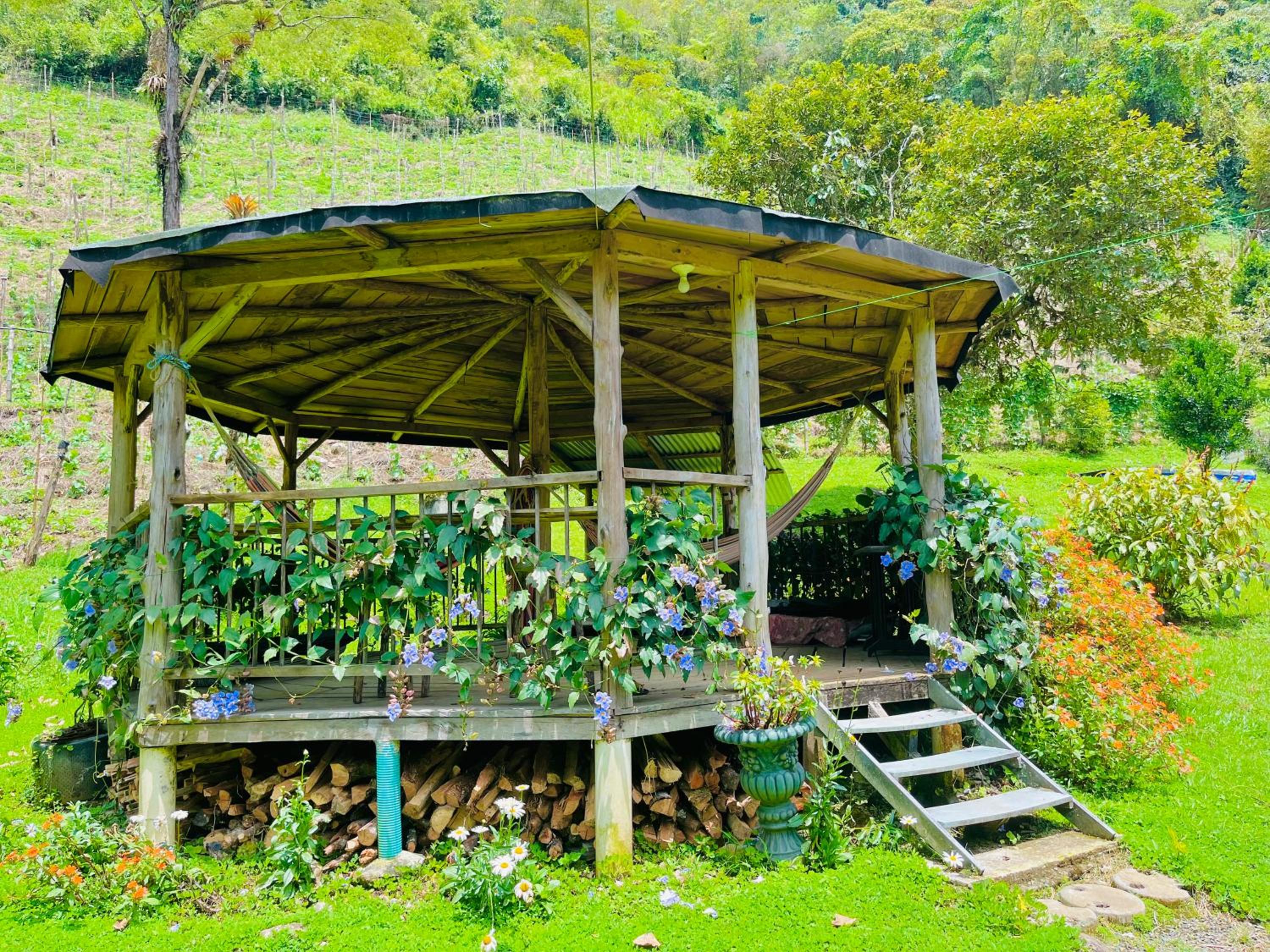 Hospedate entre Cascadas, Senderos y Paisajes Naturales