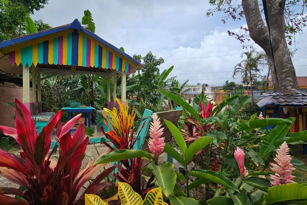 Country Vibes Jamaica