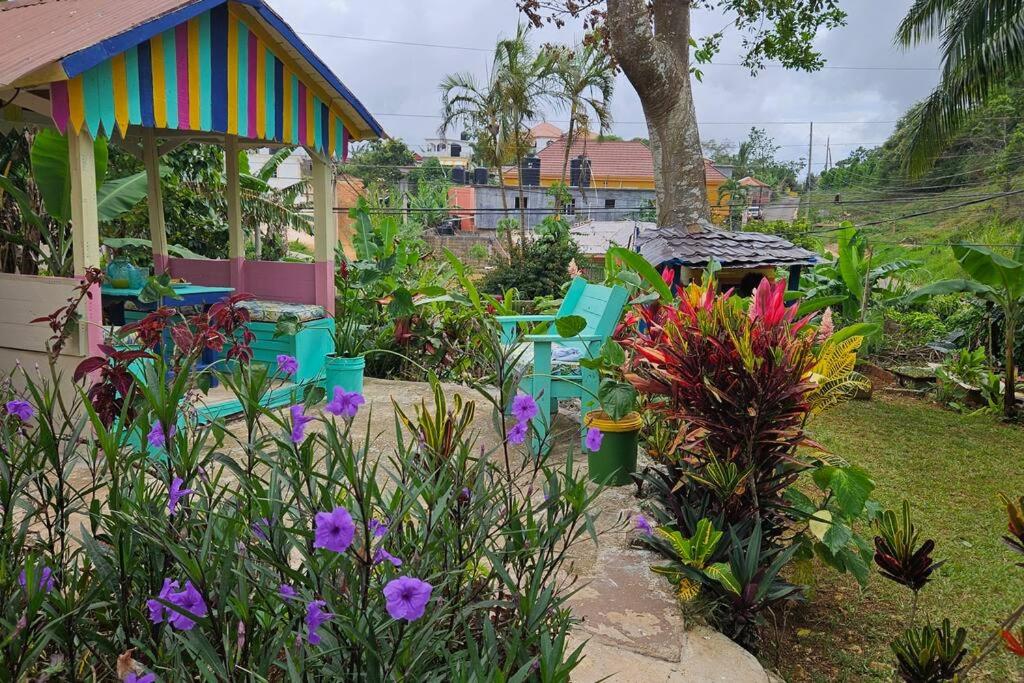 Country Vibes Jamaica