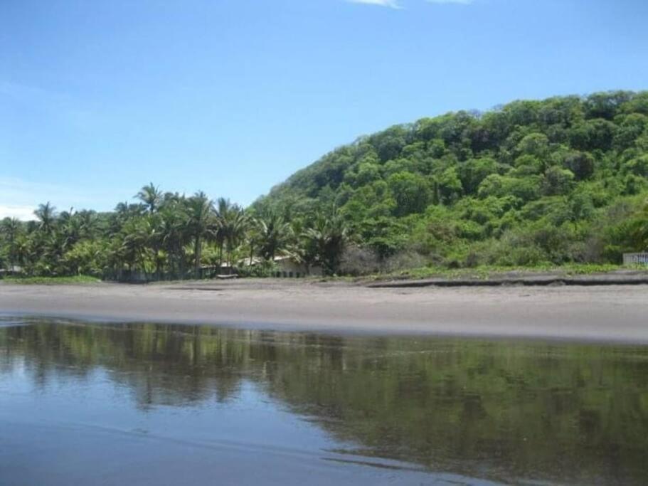 Photo 45