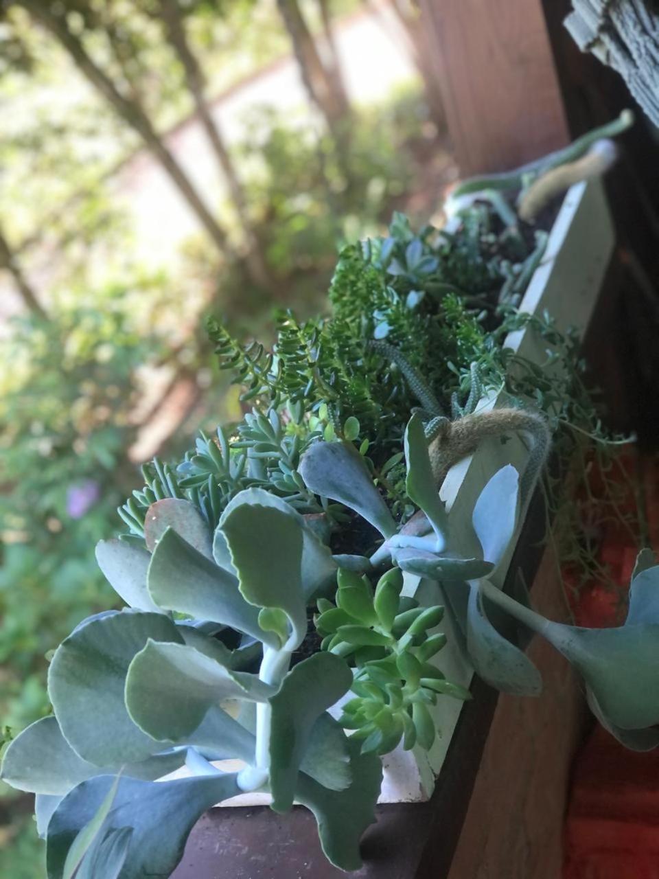 Chalé Bom Jardim