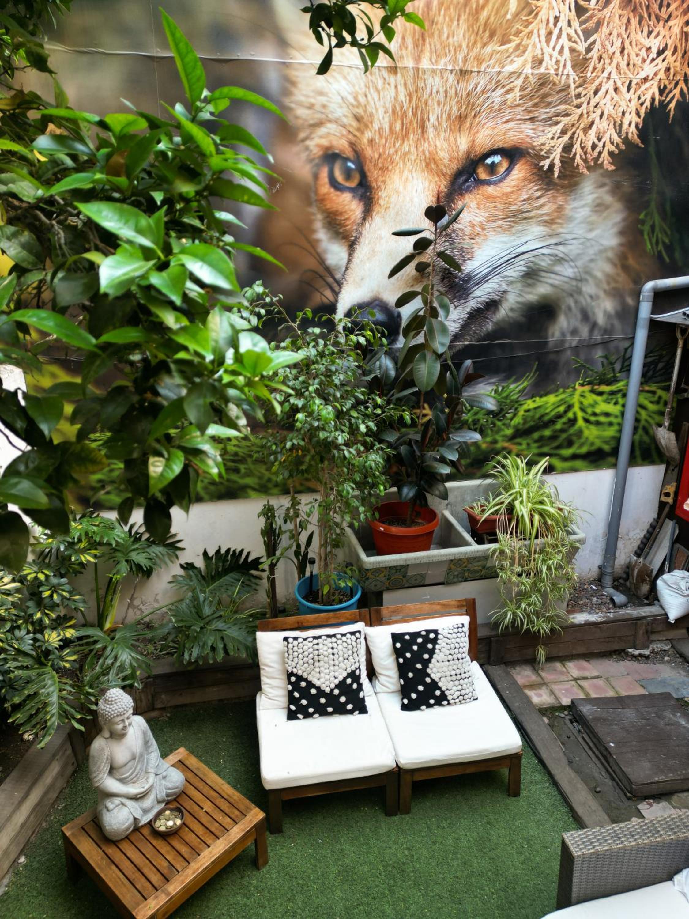 The Fox Hostel