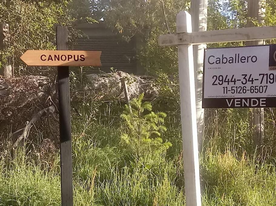 Casa moderna en el bosque