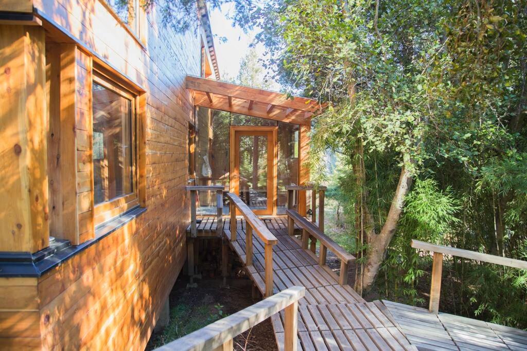 Casa moderna en el bosque