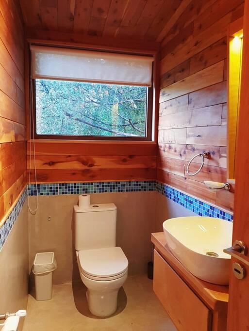 Casa moderna en el bosque