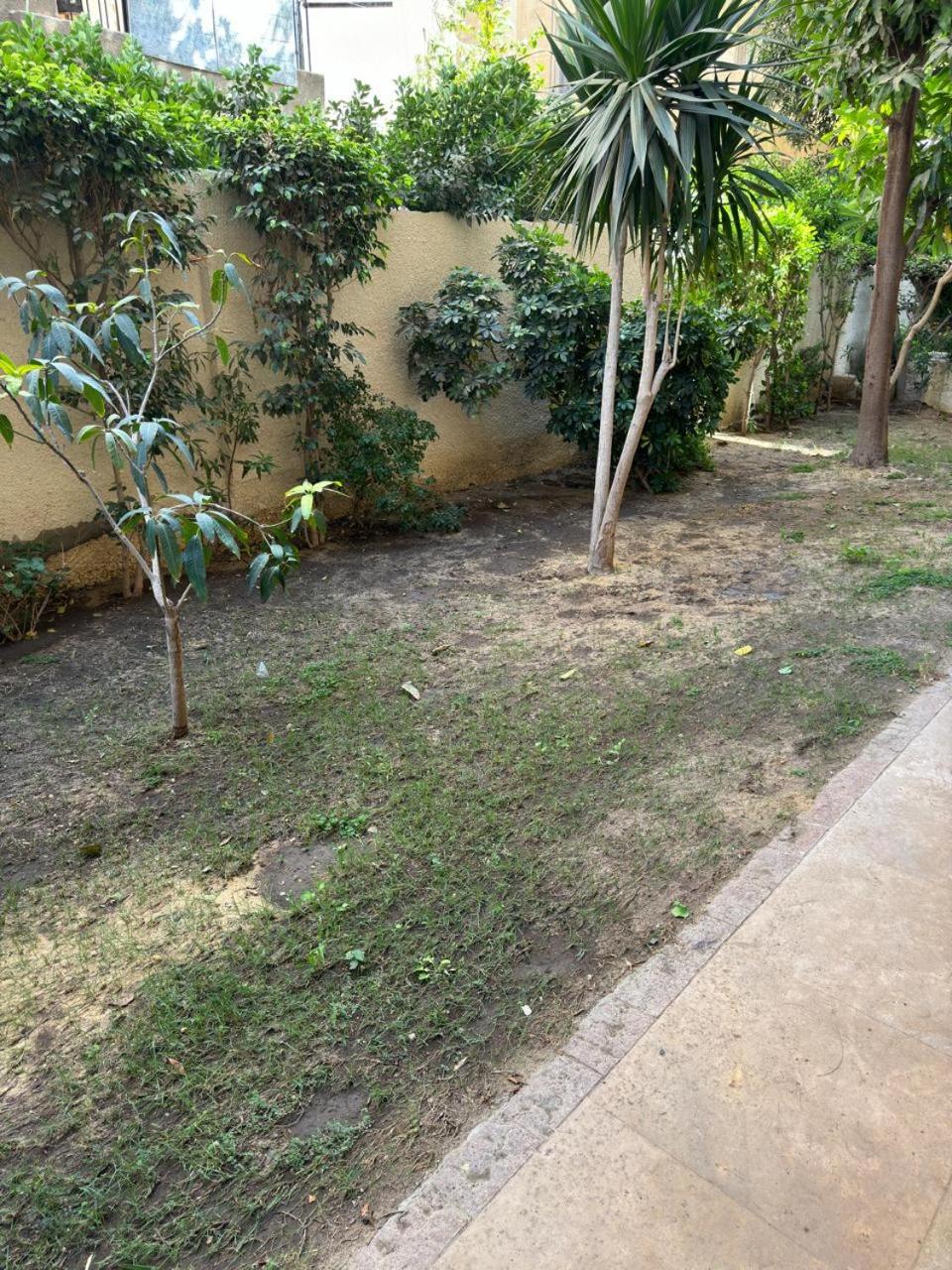 Warm apartment in the heart of Maadi