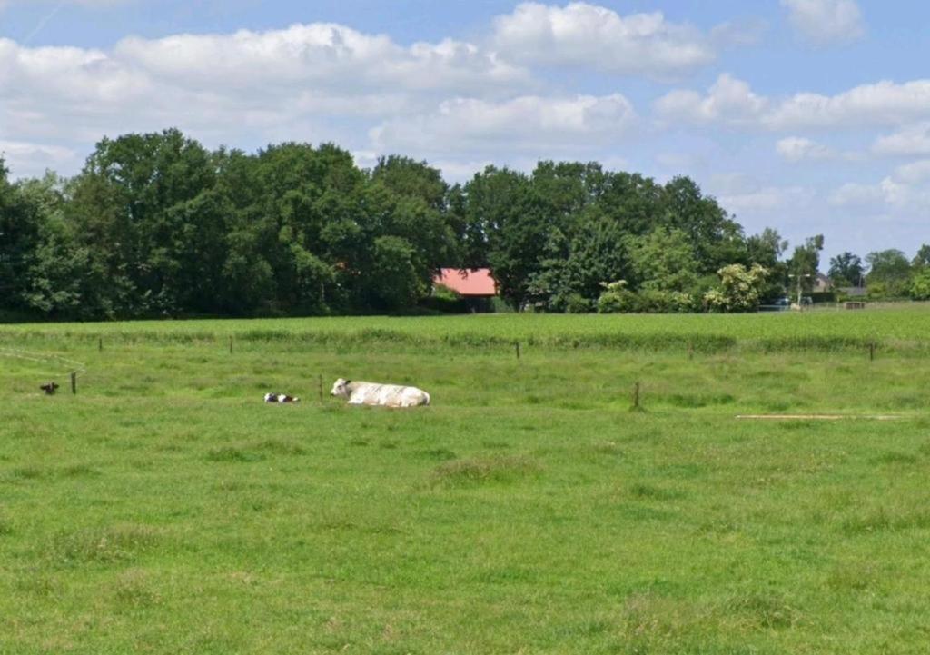 Bed & Breakfast Boekel, photo 18