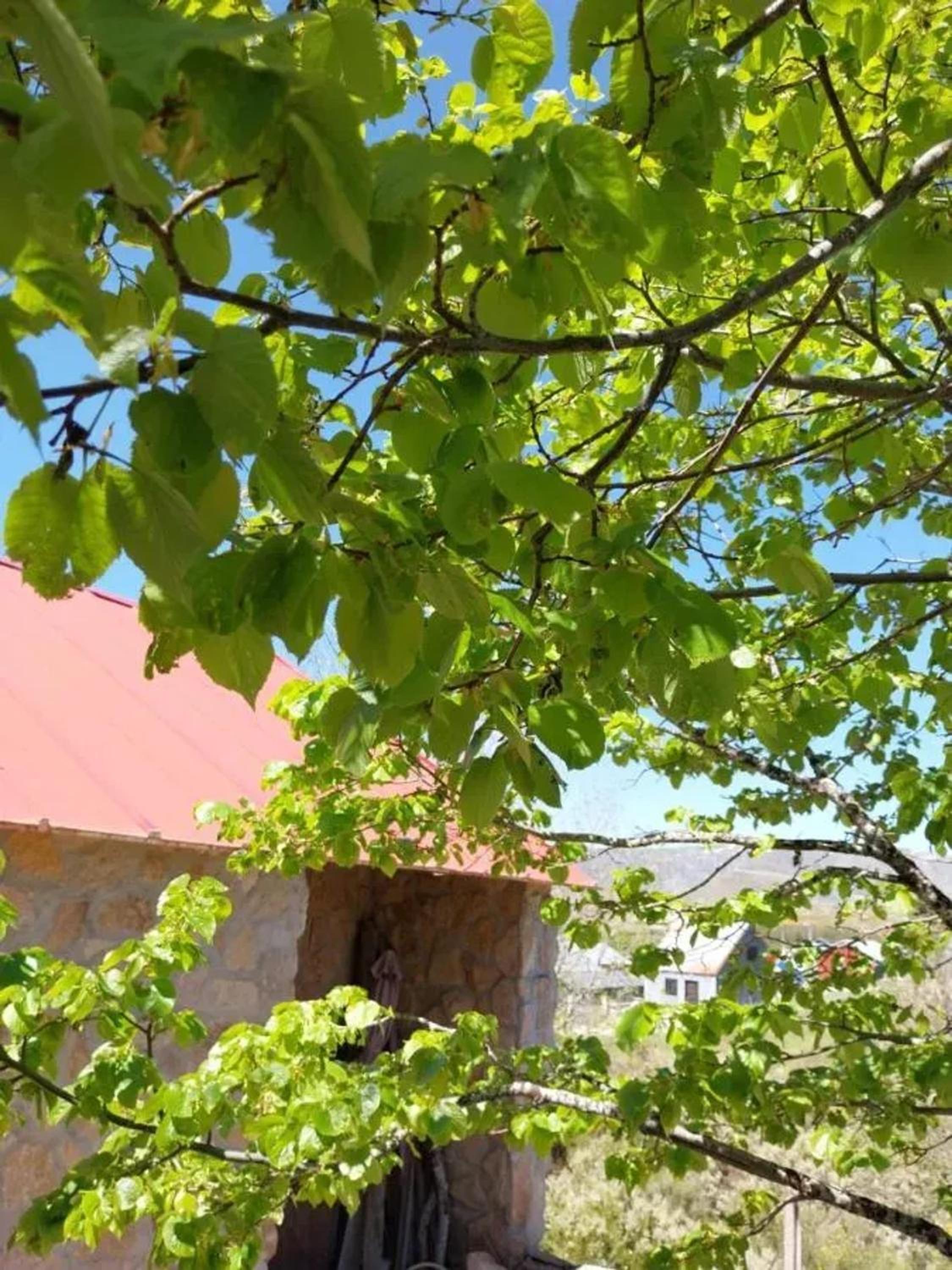 Photo 34