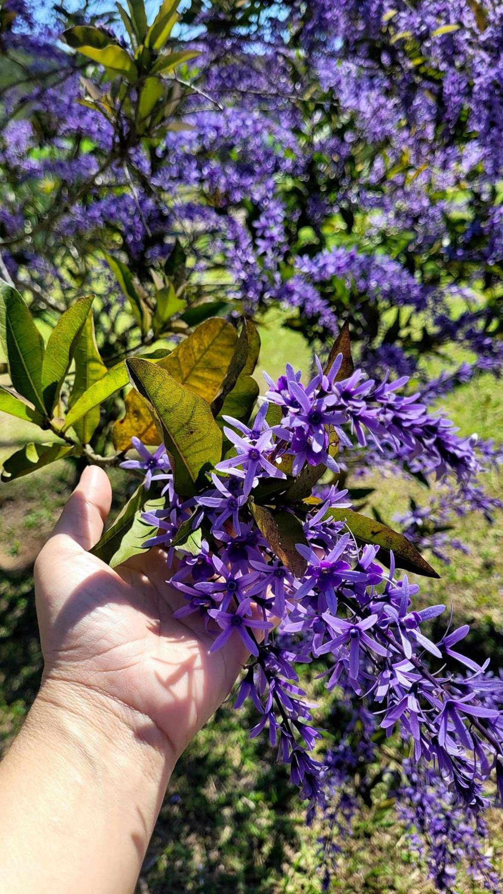 Pousada Solar Azul