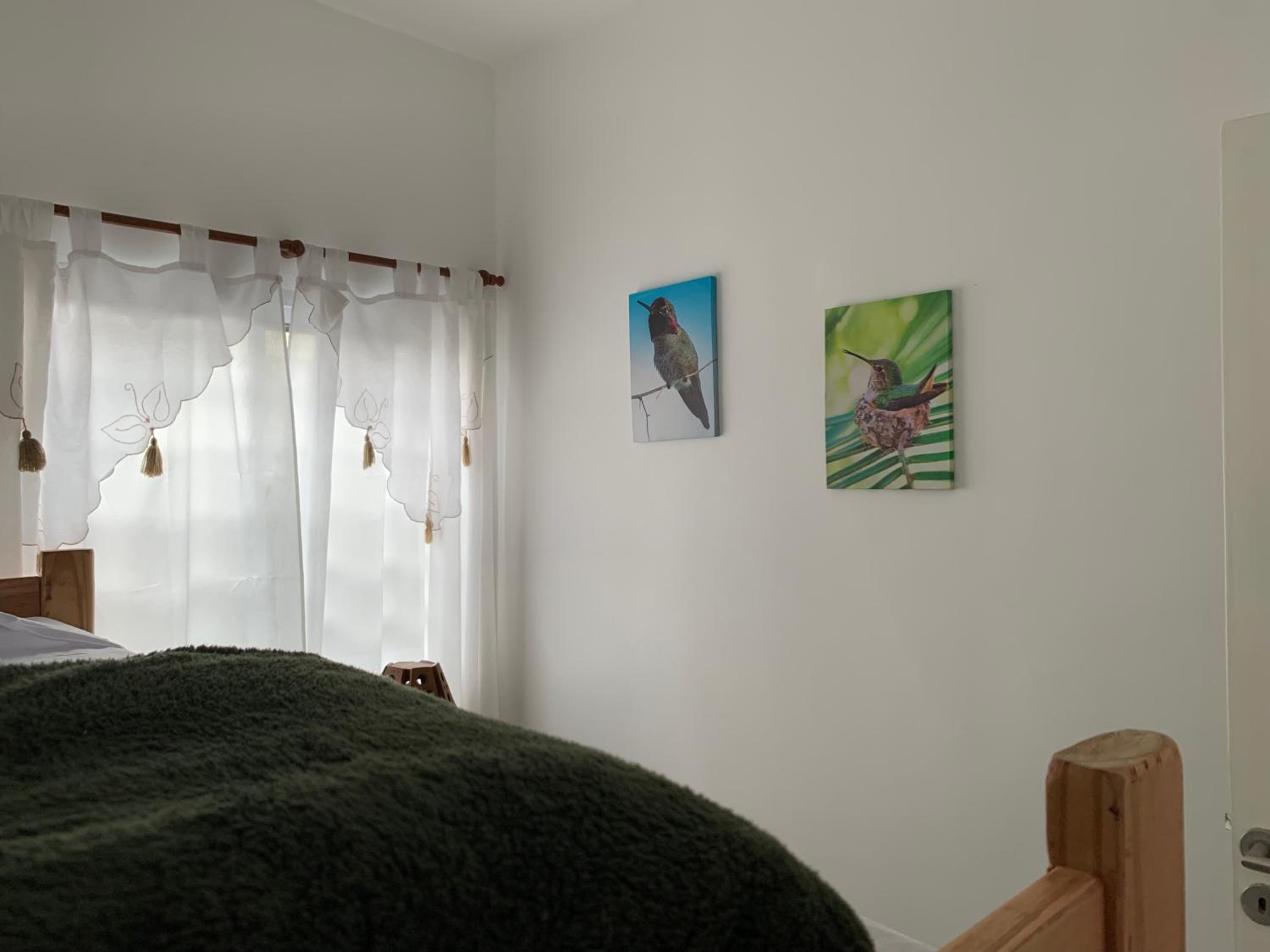 Apartamentos Colibrí