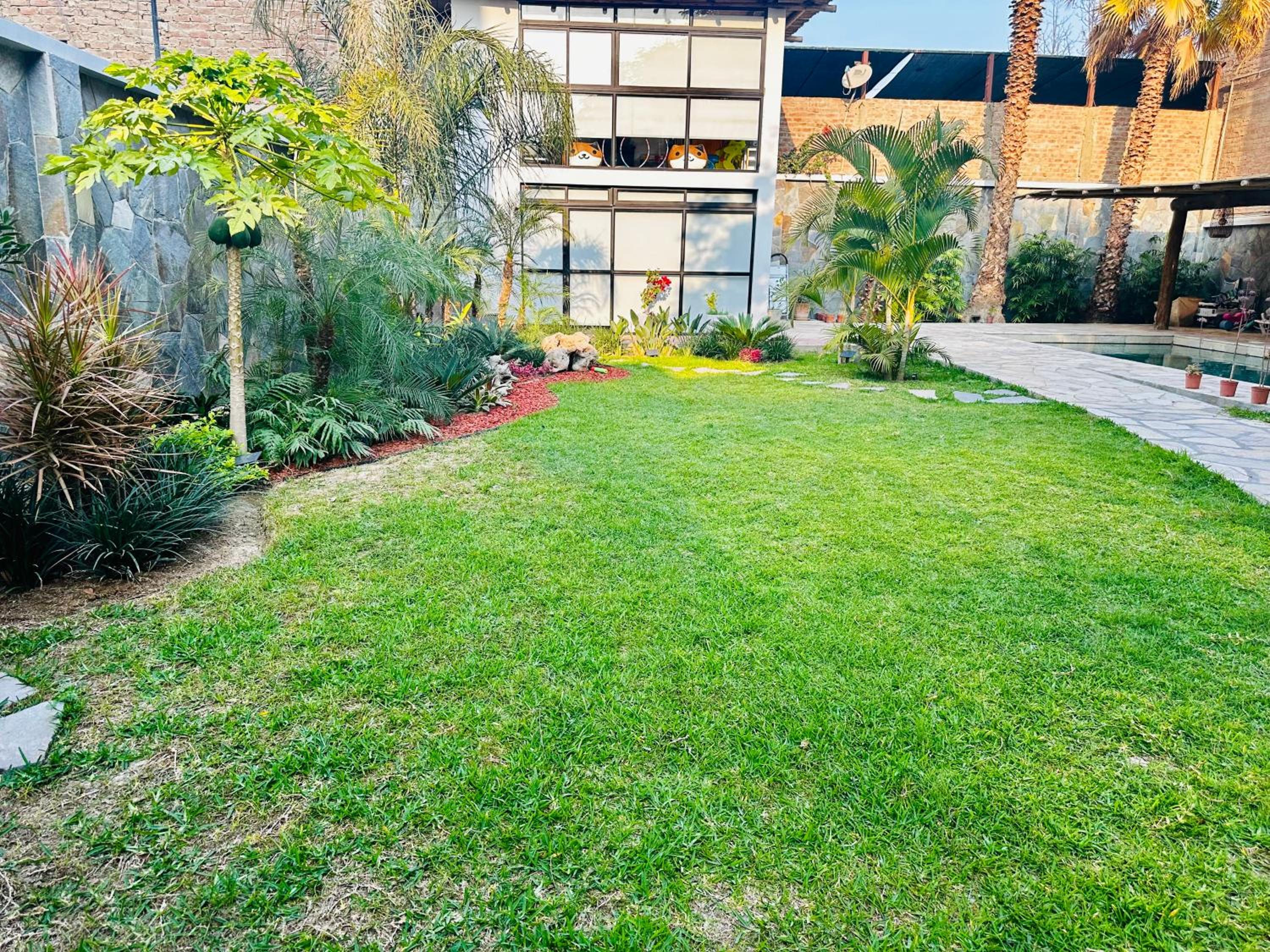 Photo 16