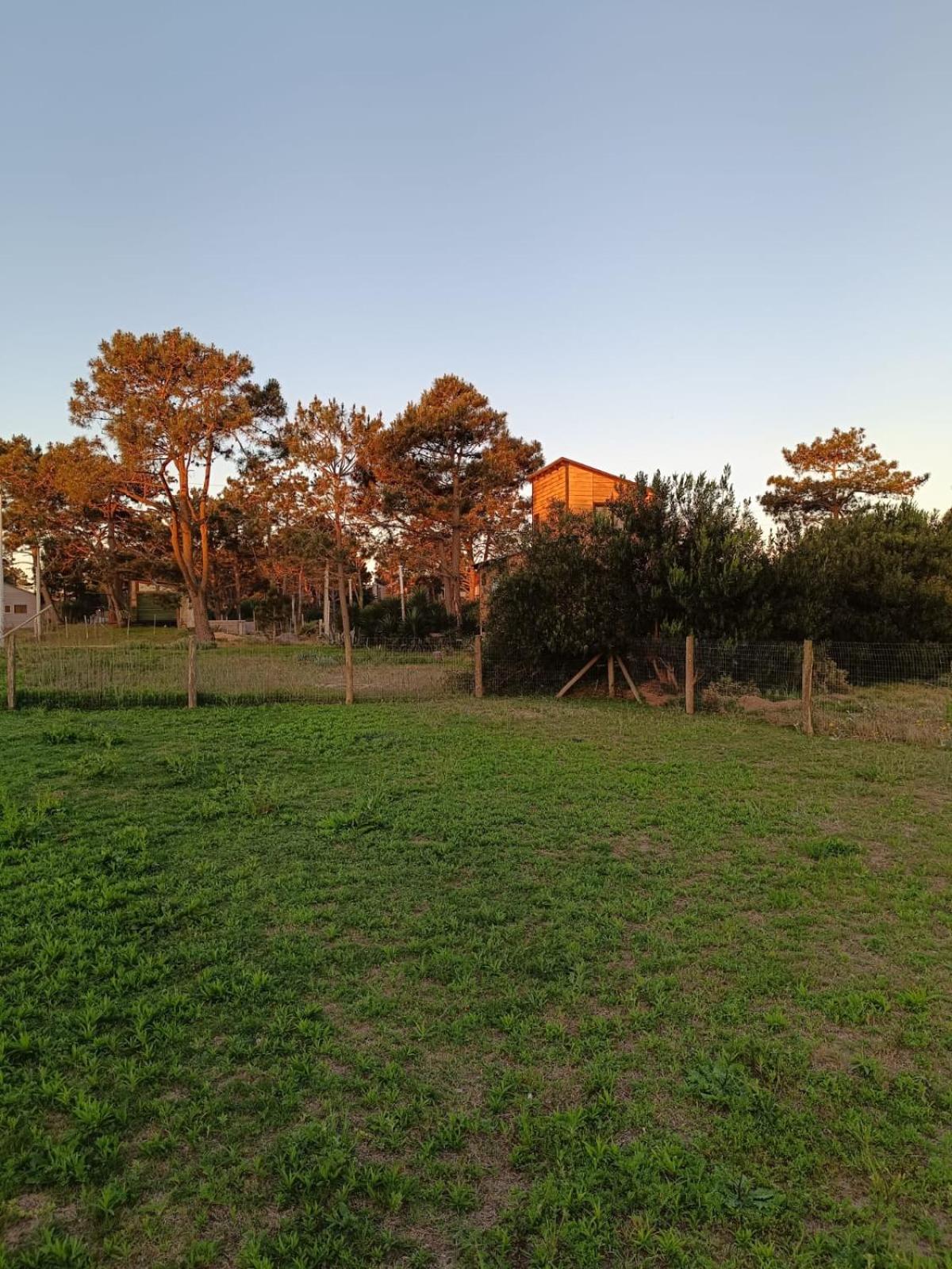 Photo 36