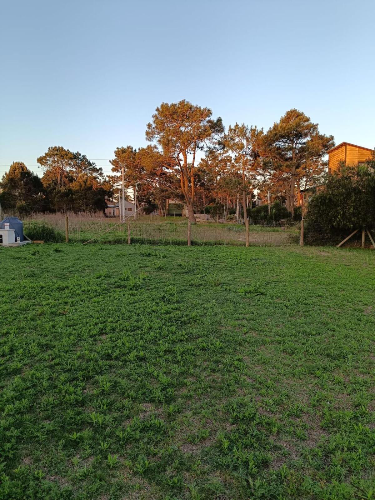 Photo 39