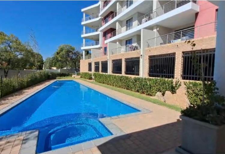 Spacious, city and pool apartment