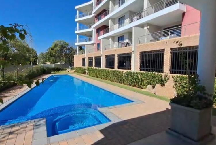 Spacious, city and pool apartment