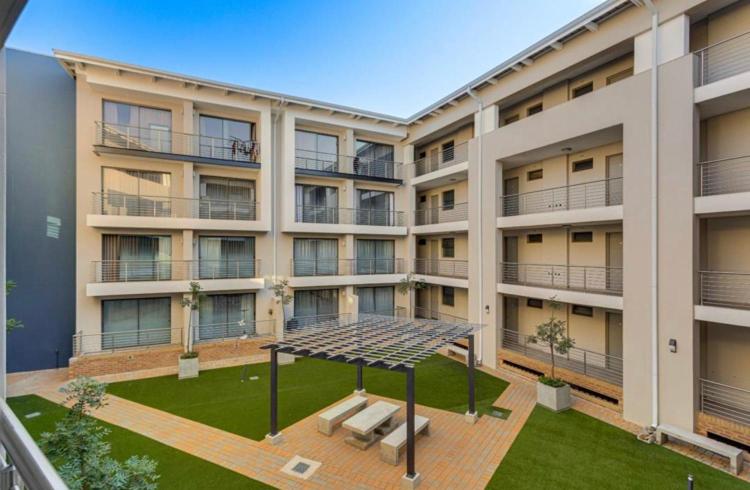 Spacious, city and pool apartment