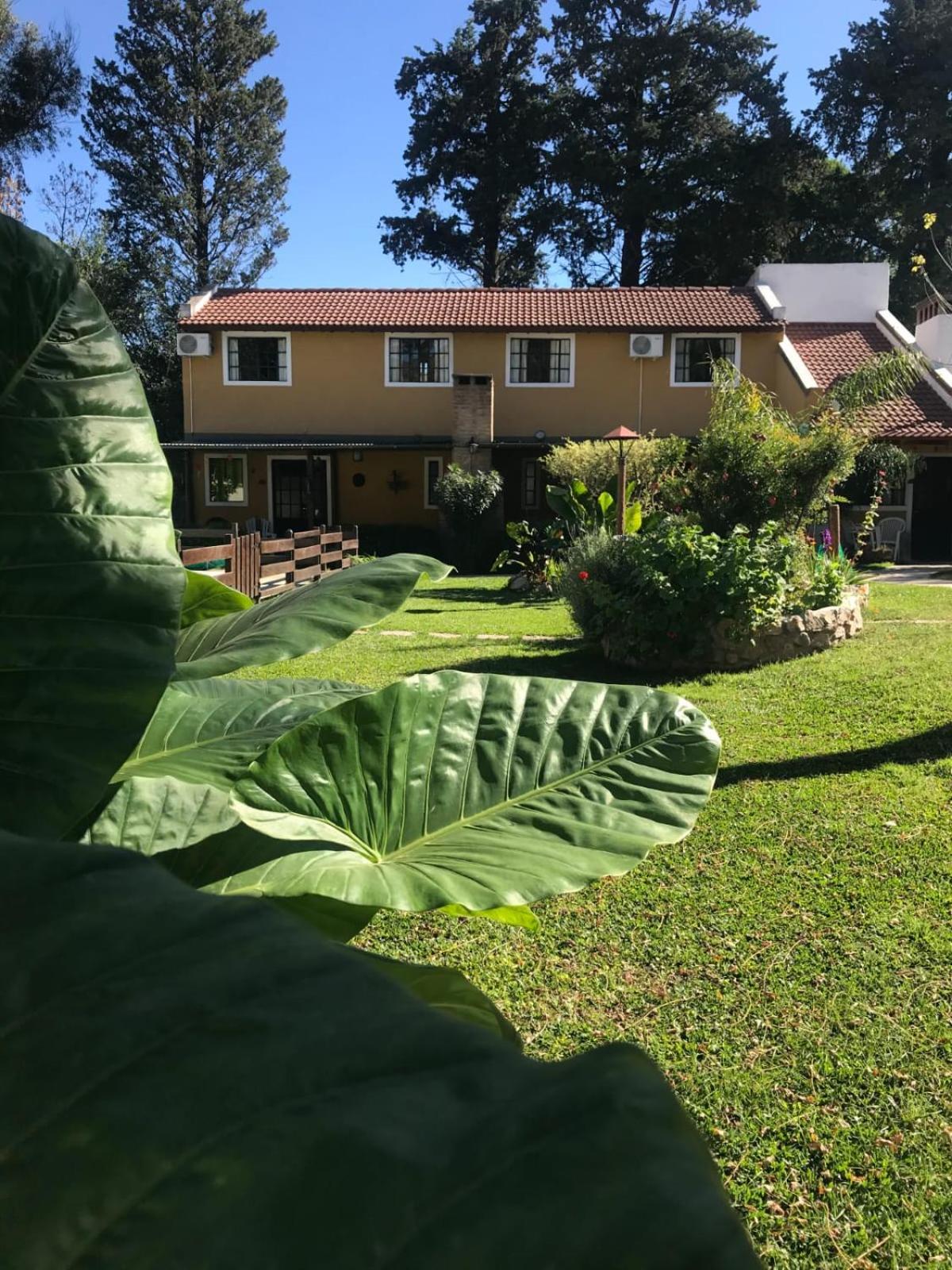 cabañas el viejo ciprés 1