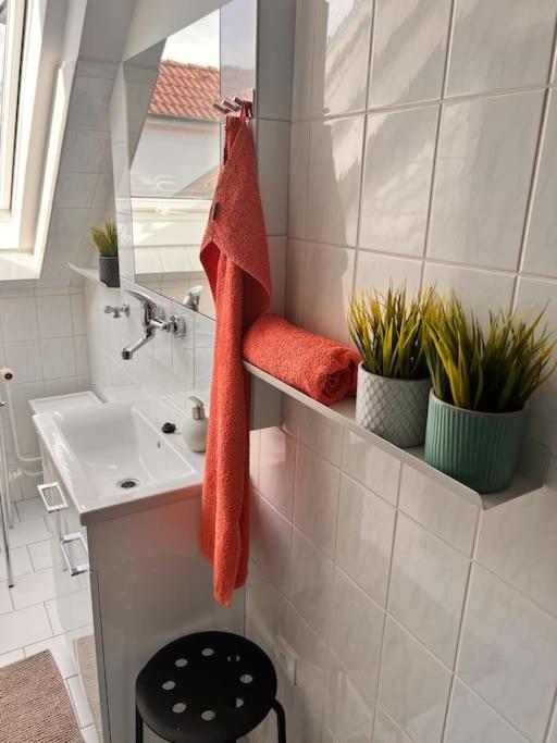 Forton Decco Apartments