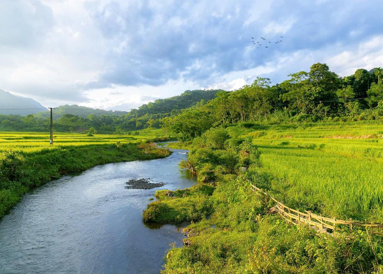 PuLuong BamBoo
